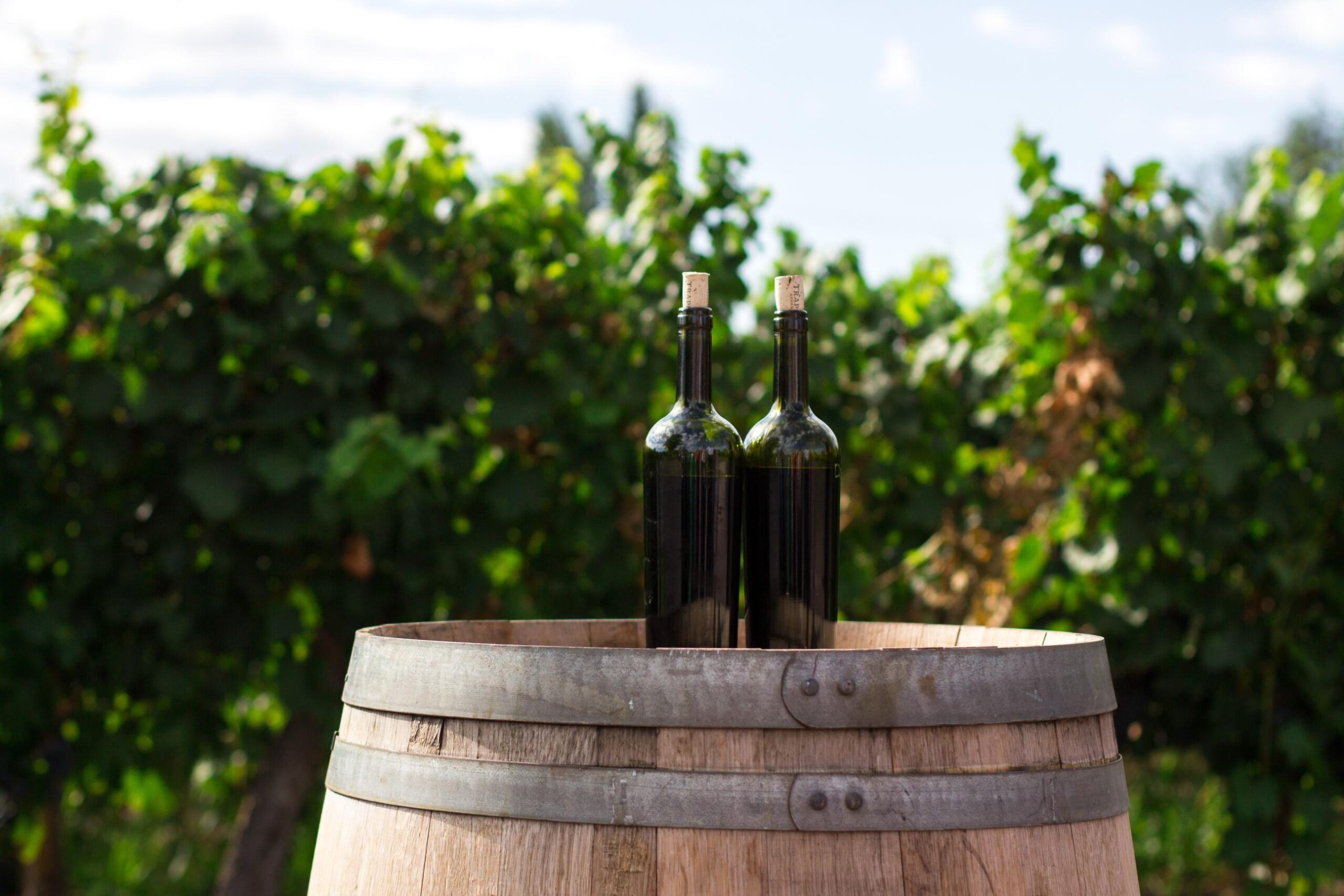 Comment ouvrir une bouteille de vin d’Anjou avec élégance ?